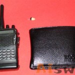 Wireless earpiece-FM