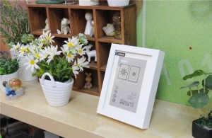 wireless Wifi Picture frame camera